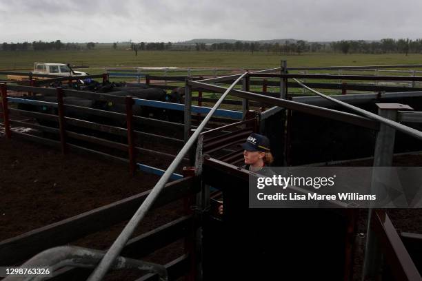 Bonnie Penfold surveys a cattle holding yard at 'Old Bombine' on January 18, 2021 in Meandarra, Australia. COVID-19 and the recent Chinese export ban...