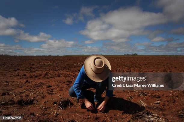 Molly Penfold checks on the progress of recently planted sorghum seedlings at 'Mamaree' on January 19, 2021 in Meandarra, Australia. COVID-19 and the...