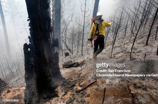 Faller Craig Morgan who is responsible for cutting down unstable burned trees walks through a burned area off of Packard Canyon Rd. Near Groveland,...