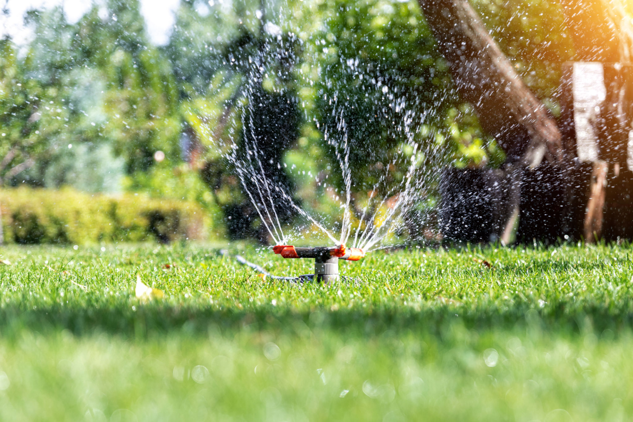 smart garden
