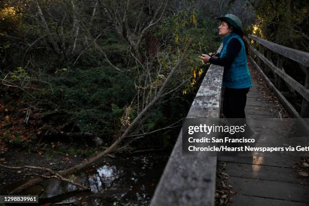 Laura Chariton, Director of the Watershed Alliance of Marin, a 501c3 project of Marin Link stands on a bridge over Redwood Creek where the endangered...