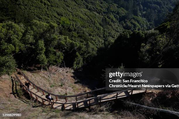 View of the Muir Woods watershed, containing Redwood Creek where the endangered species of coho salmon are struggling to survive Nov. 25, 2014 in...