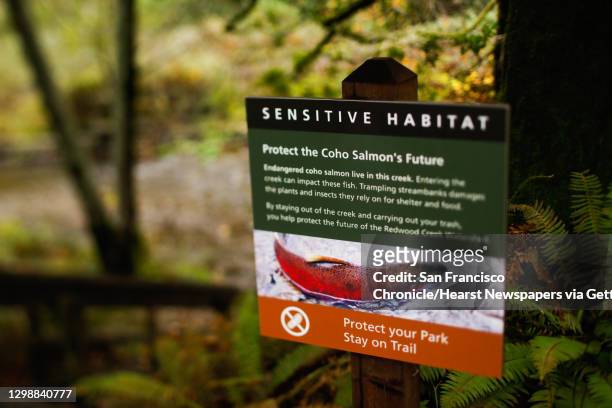Sign to protect the Coho Salmon is seen at Muir Woods in Mill Valley, California, on Monday, Dec. 9, 2019.