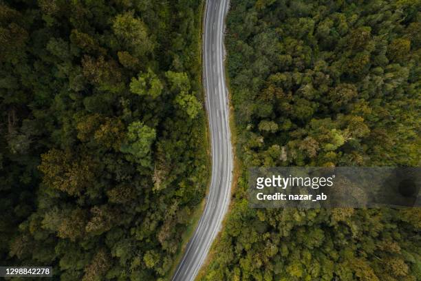 aerial view of single lane road in forest. - new zealand forest stock pictures, royalty-free photos & images