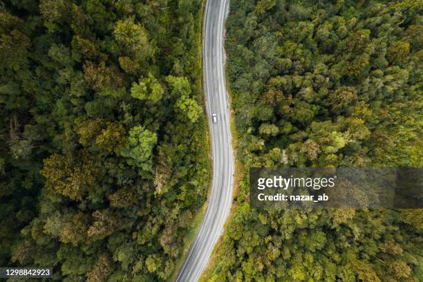 aerial view of travelling in forest. - new zealand stock pictures, royalty-free photos & images