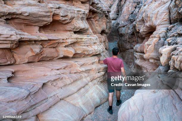 young man walking through white domes slot canyon (mr), valley of fire state park, nevada, usa - slot canyon stockfoto's en -beelden