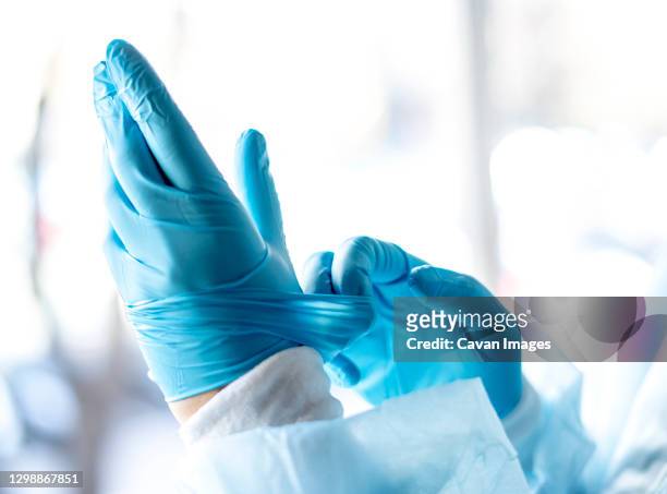 medicine and surgery theme: doctor putting on protective blue gloves - glove imagens e fotografias de stock