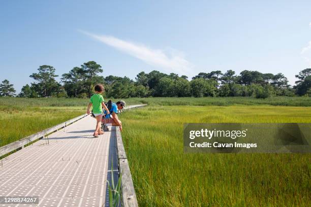 a father and child explore together along boardwalk in grassy marsh - bethany beach stock-fotos und bilder