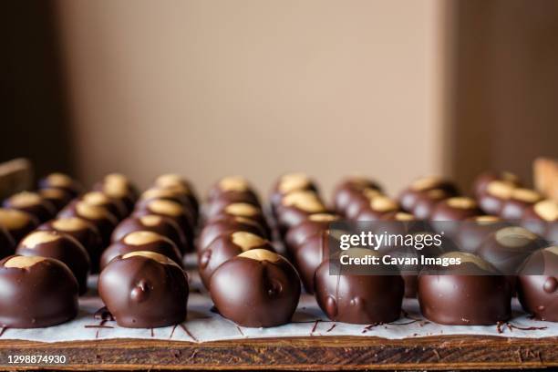 rows of neatly lined up chocolate candies spread out on a wooden board - picture of a buckeye tree - fotografias e filmes do acervo