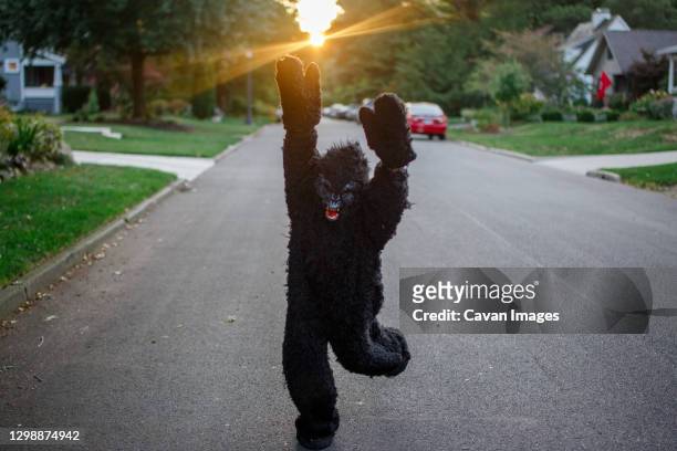 a child in a full gorilla suit runs with arms up on a street at sunset - columbus ohio street stock pictures, royalty-free photos & images