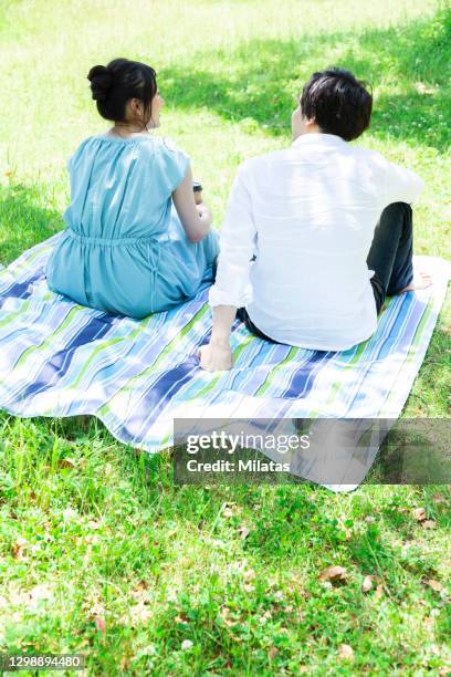 couple chatting in the park - picnic rug stockfoto's en -beelden