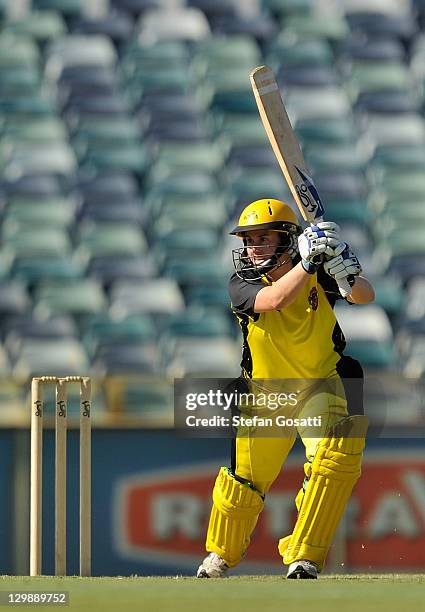 Jenny Wallace of the Fury bats during the Women's Twenty20 match between the West Australia Fury and the New South Wales Breakers at WACA on October...