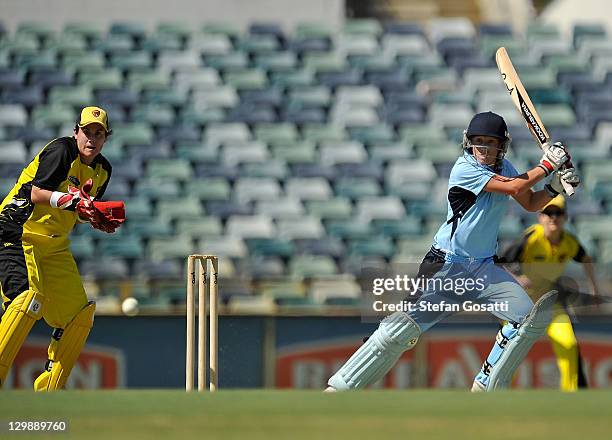 Alyssa Healy of the Breakers bats during the Women's Twenty20 match between the West Australia Fury and the New South Wales Breakers at WACA on...