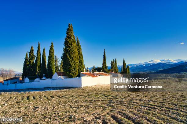andalusian cemetery and landscape, spain - evergreen cemetery stock pictures, royalty-free photos & images