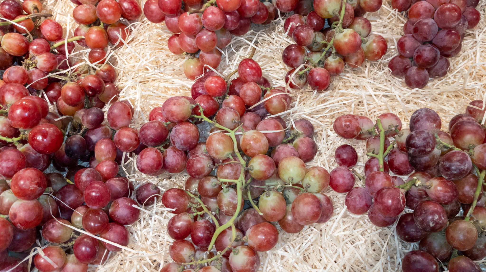 local market sur