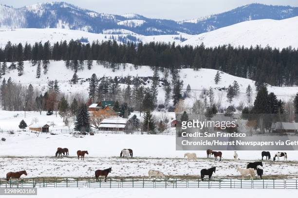 Horse farm in the Methow Valley east of Winthrop. Photographed March 3, 2019.