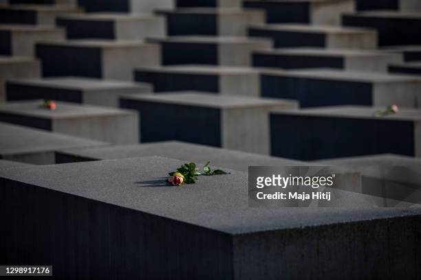 Roses are placed on the Holocaust Memorial on the International Holocaust Remembrance Day on January 27, 2021 in Berlin, Germany. Today marks the...