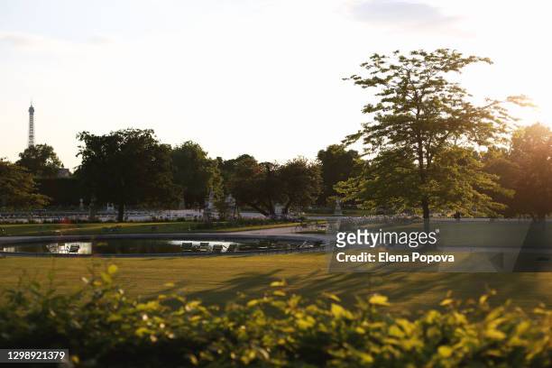 springtime coming. le jardin du luxembourg at sunset moment - intercontinental paris grand stock pictures, royalty-free photos & images