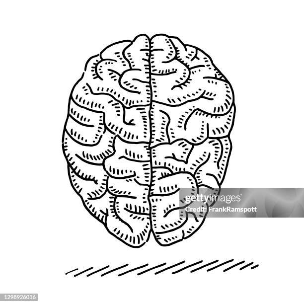 Empty Brain Drawing Photos and Premium High Res Pictures - Getty Images