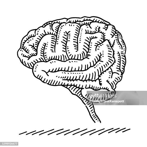 human brain symbol side view drawing - brain sketch stock illustrations