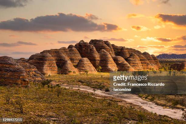 bungle bungles, purnululu national park, kimberley region, western australia, australia. sunset scenic view - australia australasia foto e immagini stock