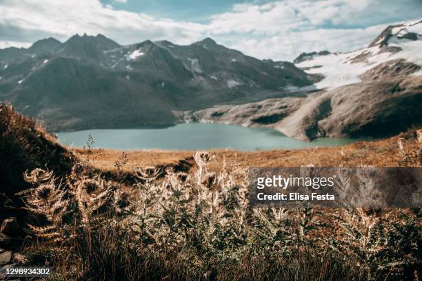 149 Foreground Middle Ground Background Stock Photos, High Res Pictures,  and Images - Getty Images