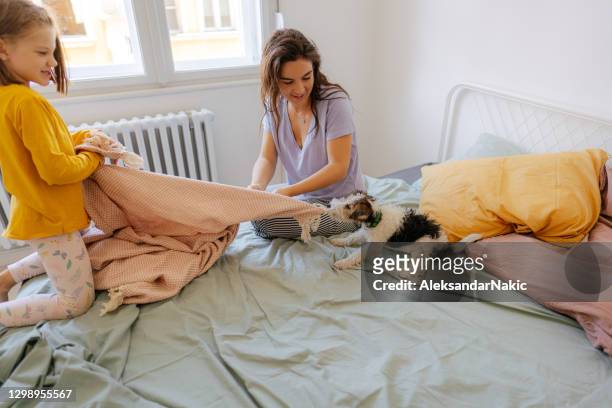 being playful with my mom and our pet - naughty pet stock pictures, royalty-free photos & images