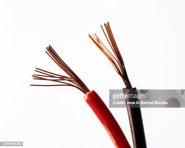 stripped copper electrical power cables wire on white background. - cable installer stockfoto's en -beelden