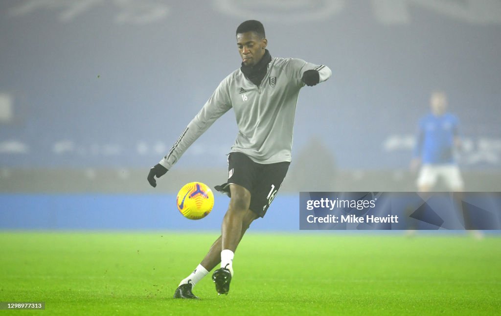 Brighton & Hove Albion v Fulham - Premier League