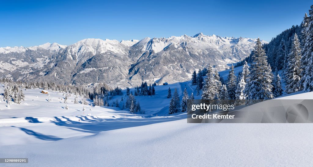 Schneebedeckte Bäume und Pulverschnee im Skigebiet