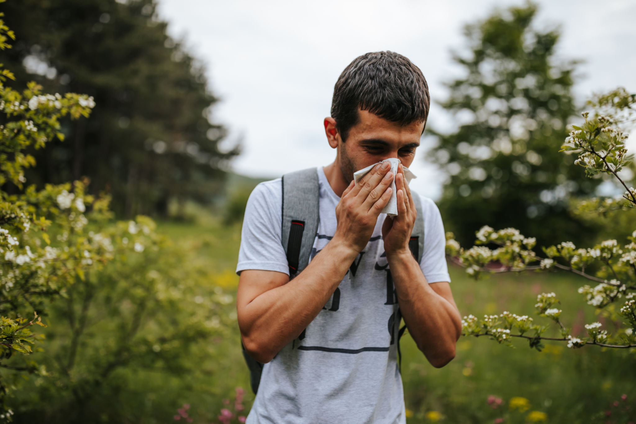 allergy free living