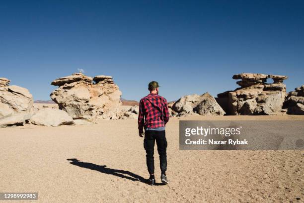 caucasian man in looking at scenic view of el árbol de piedra in altiplano, bolivia - bolivia daily life stock pictures, royalty-free photos & images