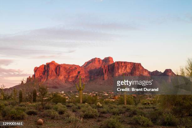 superstition mountain arizona - cactus landscape stock-fotos und bilder