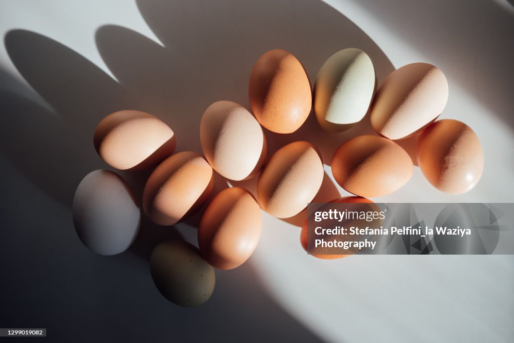 Various types, colours, and shades of Eggs, casting shadows on a clean white surface. Conceptual with space for copy.