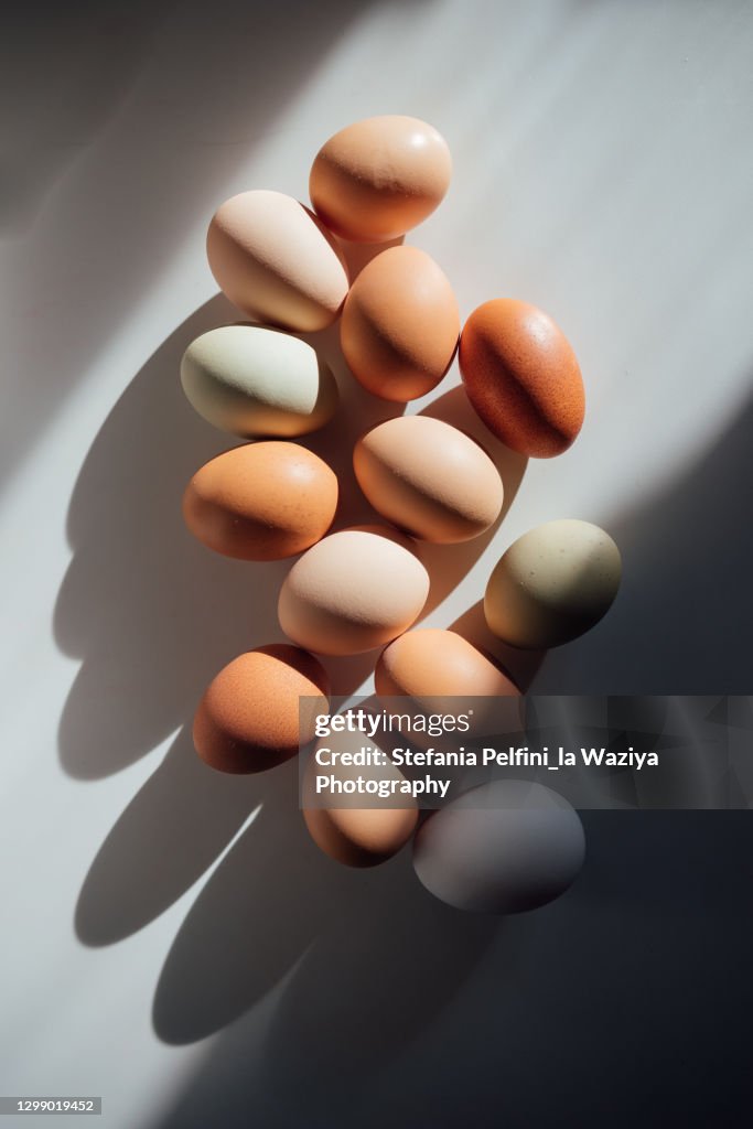 Various types, colours, and shades of Eggs, casting shadows on a clean white surface. Conceptual with space for copy.