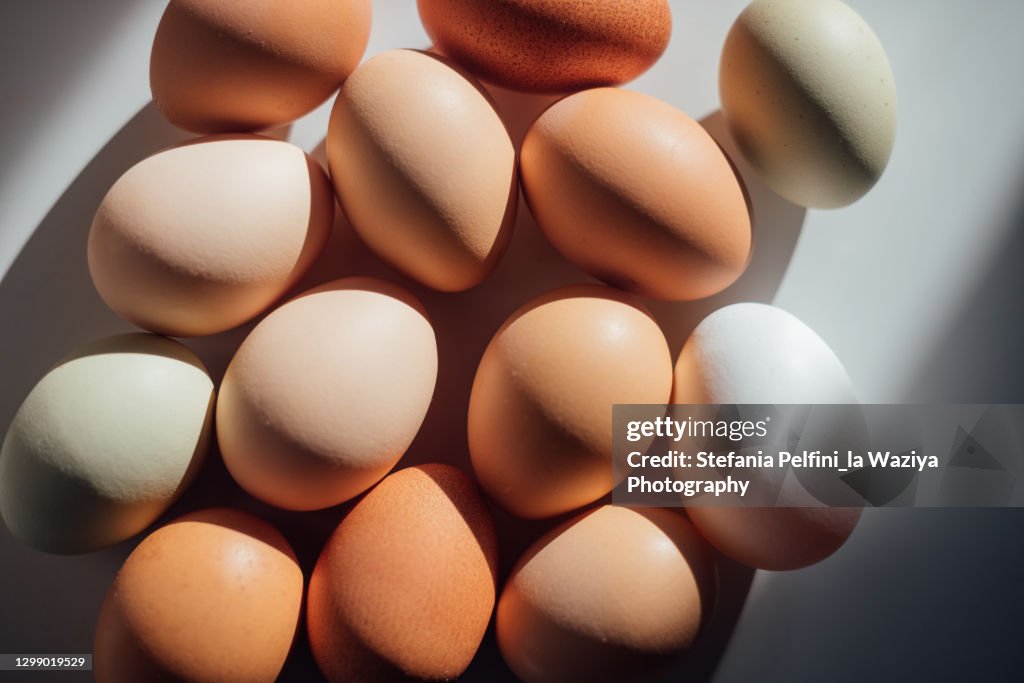 Various types, colours, and shades of Eggs, casting shadows on a clean white surface. Conceptual with space for copy.