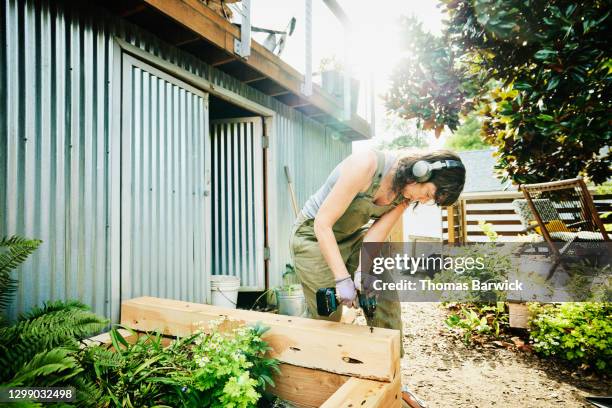 woman building raised garden beds in backyard on summer afternoon - handy 個照片及圖片檔