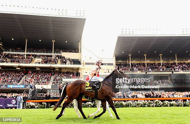 Jockey Luke Nolen riding Black Caviar returns to scale after winning Race 4 the Schweppes Stakes during Cox Plate Day at Moonee Valley Racecourse on...
