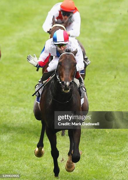 Jockey Gerald Mosse riding Americain wins Race 6 the Drake International Cup during Cox Plate Day at Moonee Valley Racecourse on October 22, 2011 in...