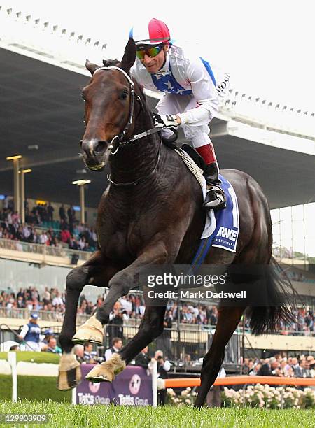 Jockey Gerald Mosse riding Americain wins Race 6 the Drake International Cup during Cox Plate Day at Moonee Valley Racecourse on October 22, 2011 in...