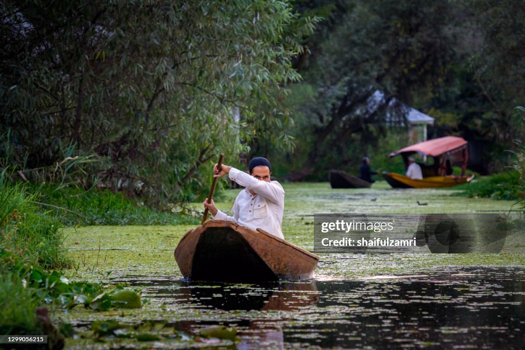 Man paddling a shikara a traditional boat on Lake Dal, Srinagar, Jammu and Kashmir, India.