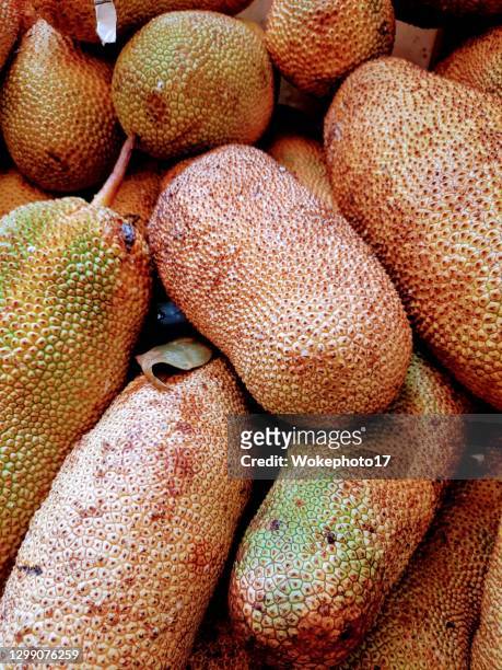 jackfruit - jackfruit stock-fotos und bilder