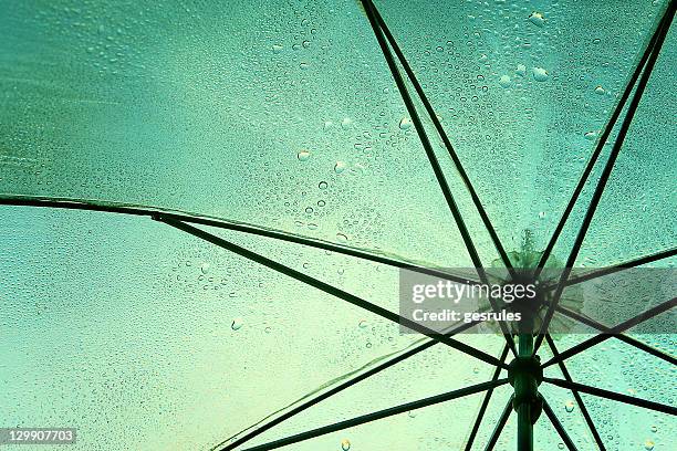 umbrella - umbrella protection stock pictures, royalty-free photos & images