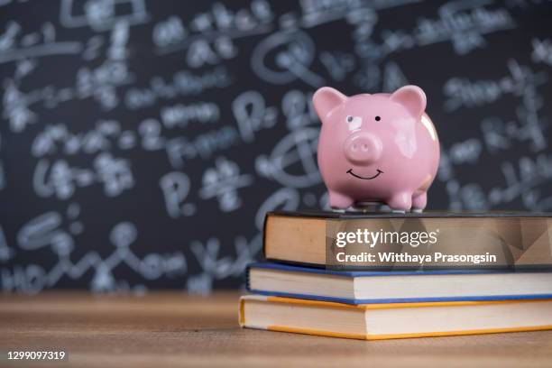 female putting coin into piggy bank - education funding stock pictures, royalty-free photos & images