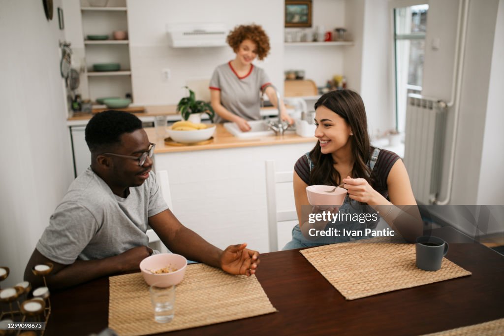 Diverse group of adult students having a meal at home