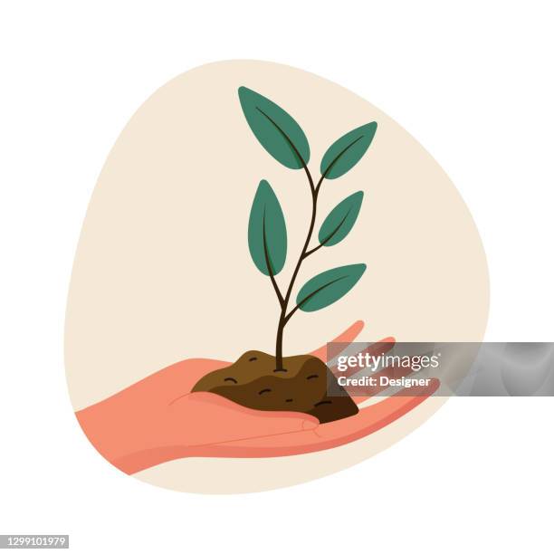 farming and agriculture related flat design vector illustration. cartoon style vector illustration - casting net stock illustrations