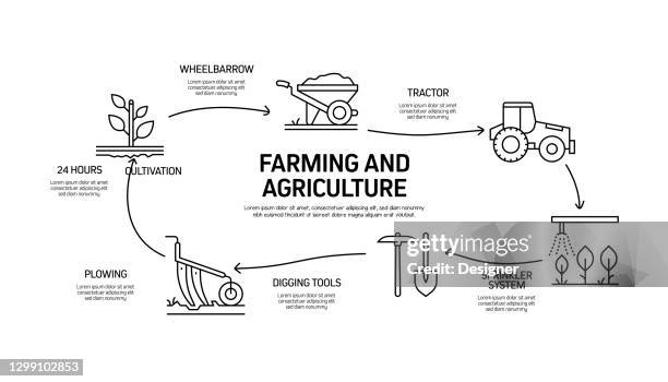 stockillustraties, clipart, cartoons en iconen met landbouw en landbouw gerelateerde proces infographic template. tijdlijndiagram verwerken. werkstroomindeling met pictogrammen - livestock infograph