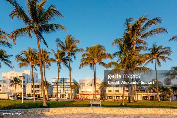 hotels along ocean drive on a sunny morning, miami beach, florida, usa - miami stock pictures, royalty-free photos & images