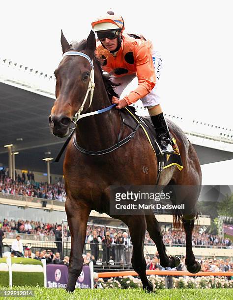 Jockey Luke Nolen riding Black Caviar wins Race 4 the Schweppes Stakes during Cox Plate Day at Moonee Valley Racecourse on October 22, 2011 in...
