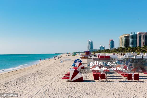 sun beds at miami beach on a sunny day, florida, usa - sandsun stock-fotos und bilder